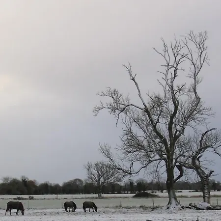 Annaharvey Farm Nocleg ze śniadaniem Tullamore