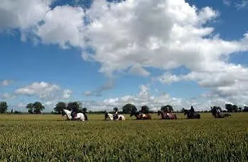 Annaharvey Farm 3*