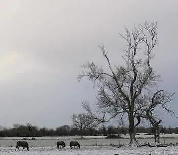 Annaharvey Farm