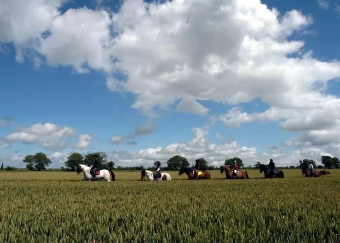 Annaharvey Farm Panzió 3*