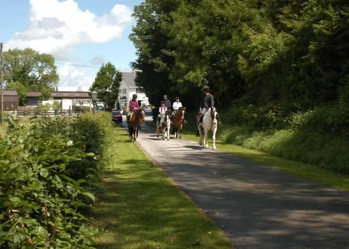 Panzió Annaharvey Farm Tullamore