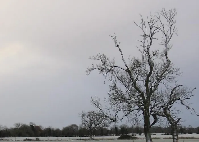 Annaharvey Farm Panzió Tullamore